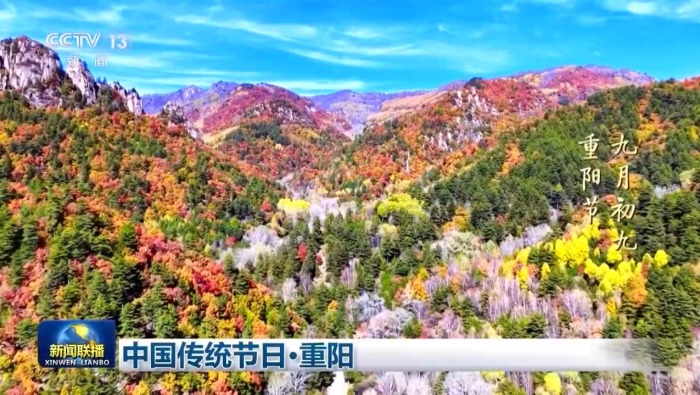视频丨九九重阳 久久情长
