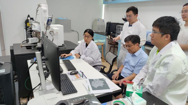 4项月背样品研究成果！嫦娥六号助中国科学家开创月球研究与探索新时代