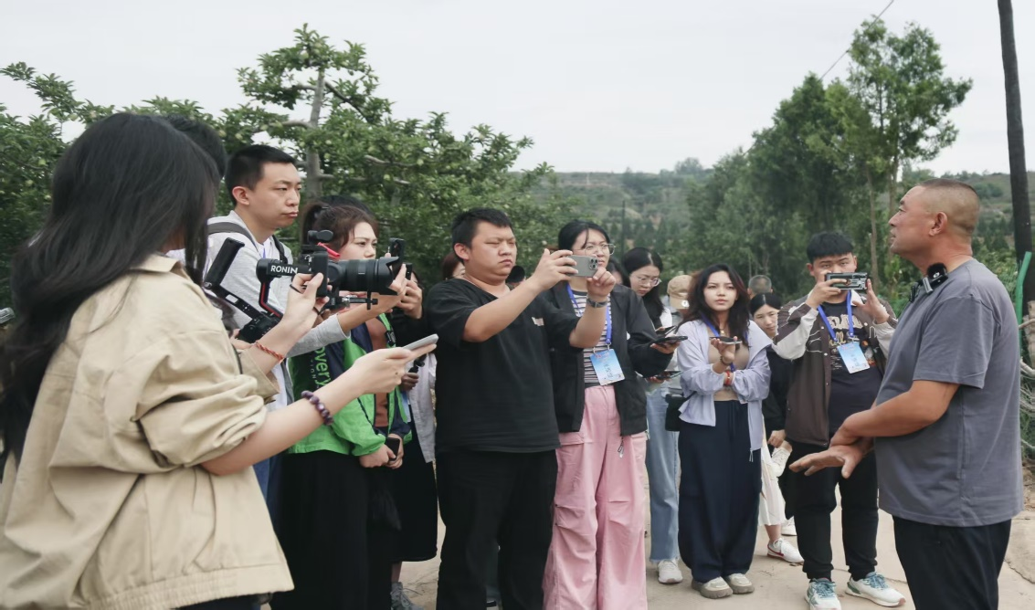 天水：南山花牛攀满枝 “青春华章”采风记_fororder_图片4