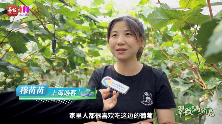 “县”在起笔 青绿绘江山 | 翠微满乾“昆”，繁华都市与生态绿意温柔相拥