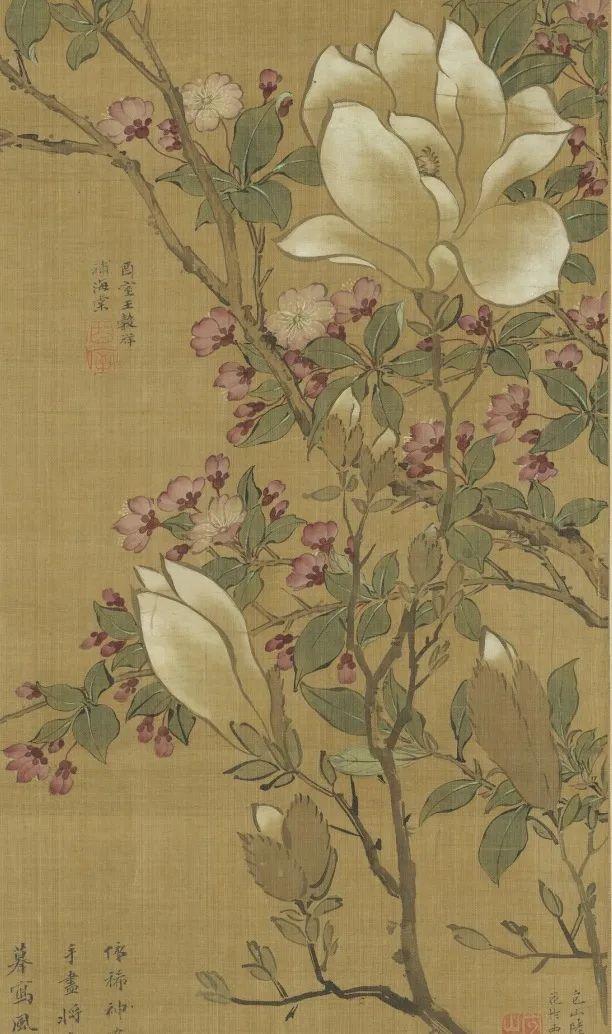 文化中国行·文博日历丨早春玉兰开 一起到全国古迹去追花（附打卡攻略）