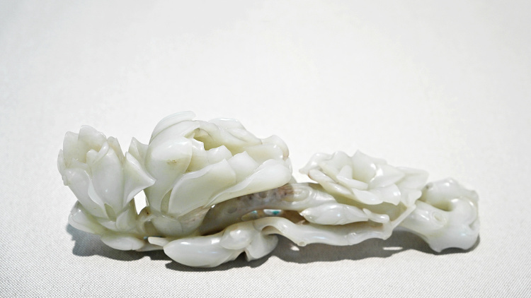 文化中国行·文博日历丨早春玉兰开 一起到全国古迹去追花（附打卡攻略）