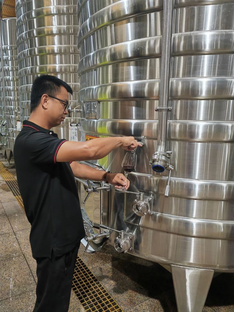 报效祖国 建功西部丨贺兰山下的酿酒师 一年四季都在忙些啥？