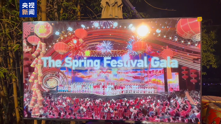 中国驻博茨瓦纳使馆举行新春招待会 总台春晚宣传片精彩亮相