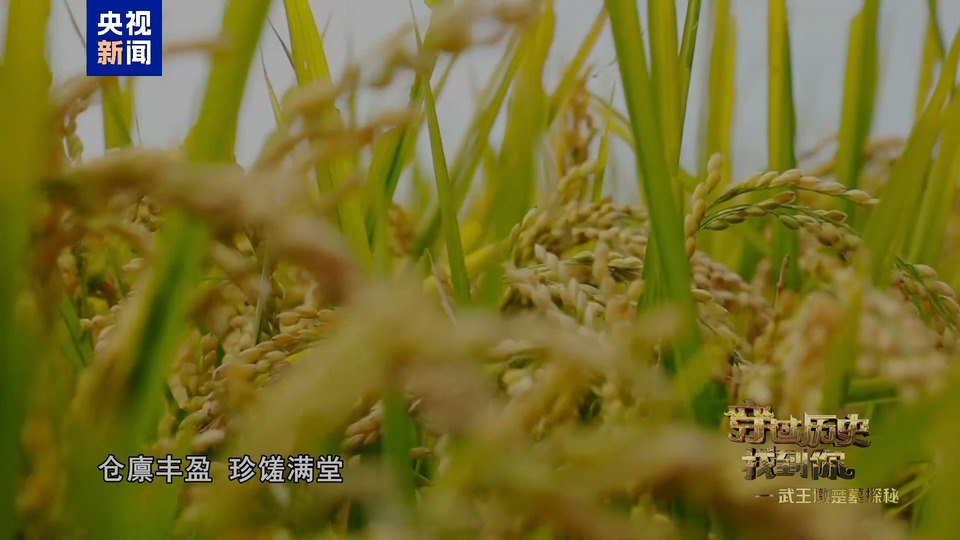 堪称典范!武王墩墓文物“上新” 从这只升鼎一窥楚人独特审美