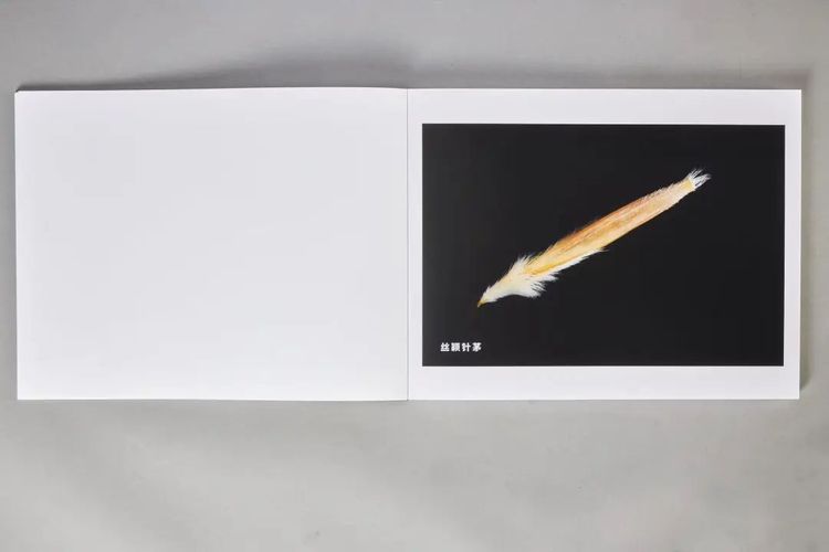 第35届香港印制大奖揭晓，雅昌斩获23个奖项！