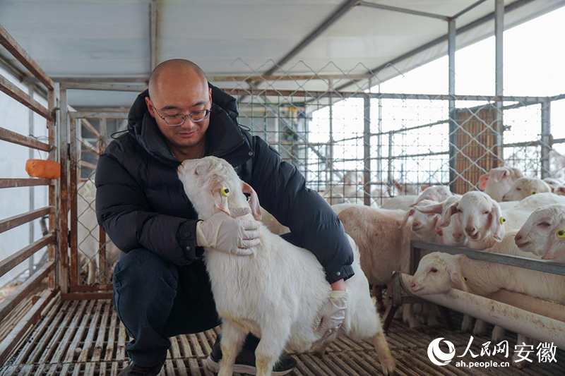 新春走基层丨村里来了“羊博士”