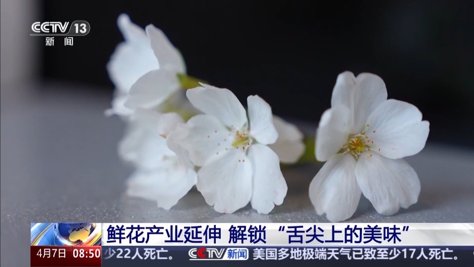 以花为媒 农耕文化玩出了新花样