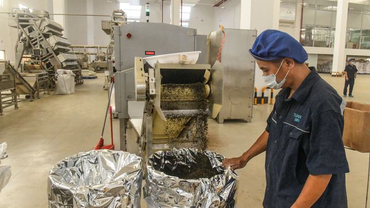 宝藏之城丨这座小城的茉莉花香飘世界