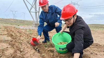 State Grid Gansu Electric Power Research Institute: Key Technology for Restoring Vegetation Disturbed by Power Grid Construction in "Desert-Gobi-Wasteland" Areas Enters Field Application