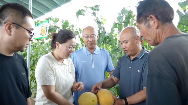 新华视点｜科技扎根田野间 多地探索农业高质量发展新路径