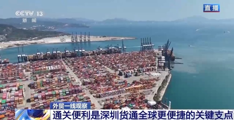 平均每天10班船驶向欧美 从深圳盐田港看中国外贸“加速度”