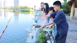 湖南新邵县90万尾鱼苗安家资江