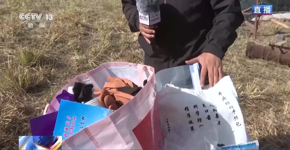 给草原放个假~祁连山20万头牛羊要下山“借牧”啦