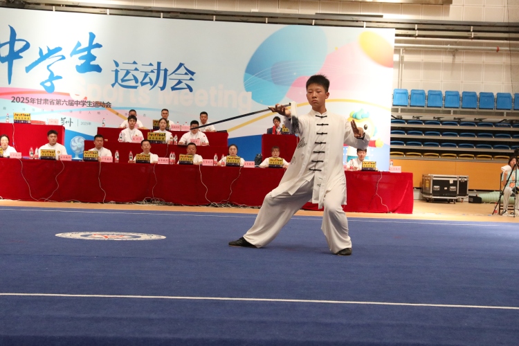 天水市武术选手在全省中运会勇夺三金五银五铜_fororder_16.JPG