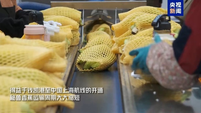 视频丨进博好物抢先看 钱凯港航线架起南美鲜果快速通道