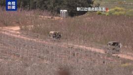 总台记者观察丨为继续与伊朗谈判 美强行推进黎以暂时停火