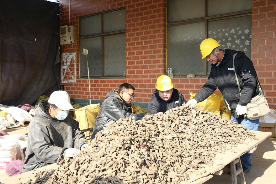 Jiaozuo City in Henan Province empowers the development of its traditional Chinese medicine industry through a reliable power supply
