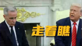 视频丨加拿大总理访美与特朗普“礼貌交火”