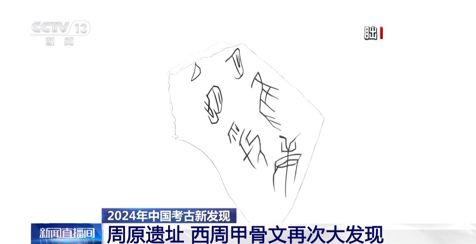 2024考古新发现：古人比你还会“记录生活”