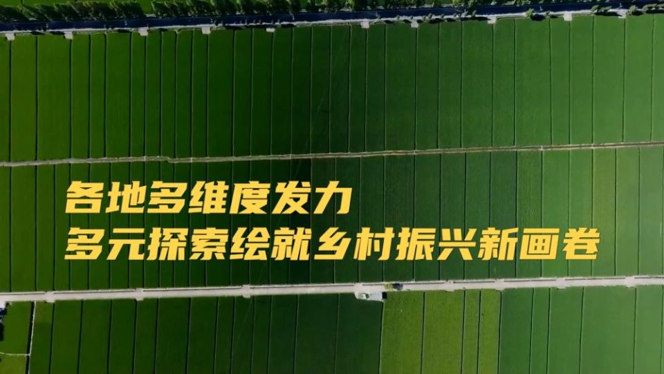 新华视点｜各地多维度发力 多元探索绘就乡村振兴新画卷_fororder_16