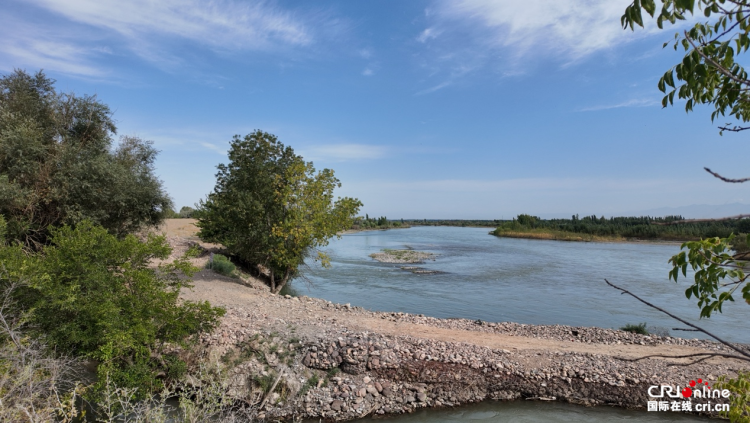 治水兴水看新疆丨百年“母亲渠”润泽“塞外江南”_fororder_图片2