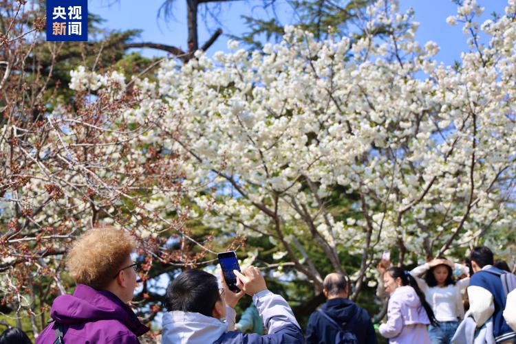 清明假期第二天 北京市属公园迎客87.36万人次
