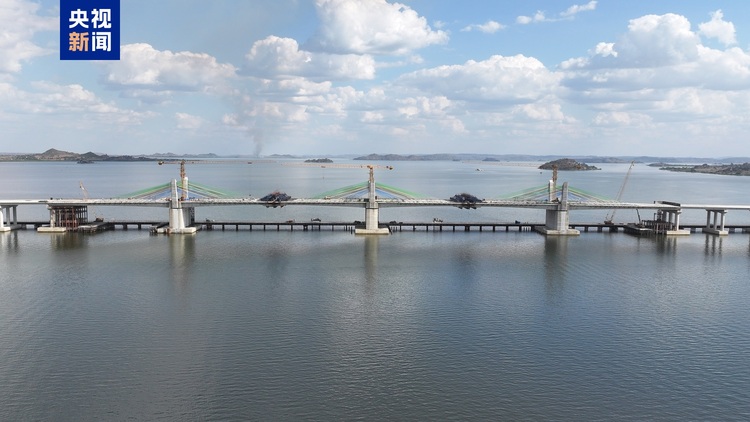 中企承建的坦桑尼亚马古富力大桥主桥成功合龙