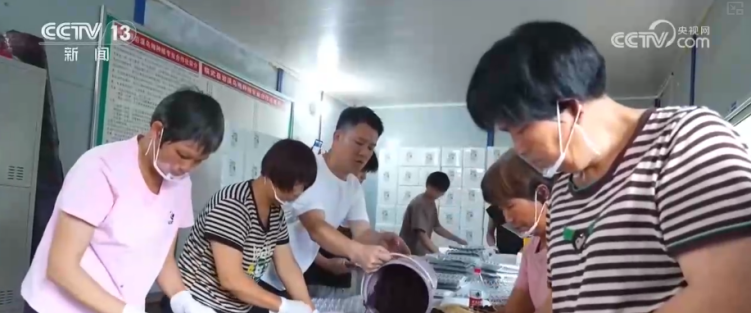 有“量”有“质”又有“智” 多维度透视前5个月物流运行“成绩单”