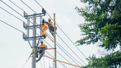 State Grid Wenzhou Power Supply Company Secures Stable Power for Island Residents with 'Centipede Ladders'