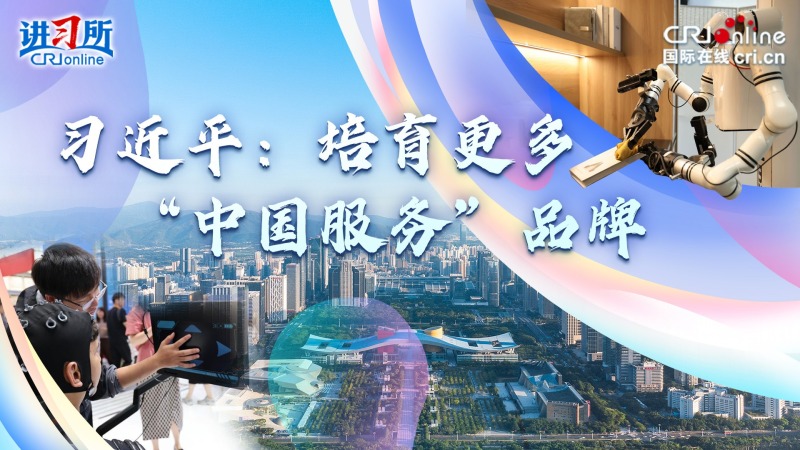 习近平：培育更多“中国服务”品牌