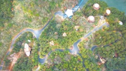 安徽林下经济奔向“绿富美”