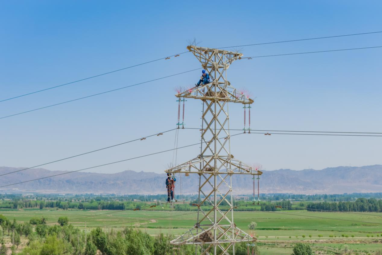 State Grid Zhangye Power Supply Company: Protecting Migratory Birds and Promoting Biodiversity_fororder_图片7