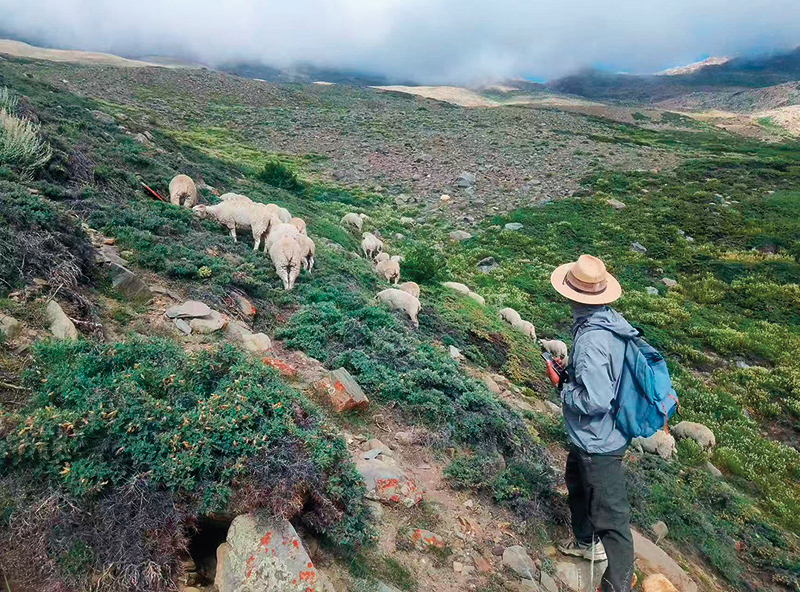 瞭望·吾心吾乡 | 传递“乌尔朵”的守边人