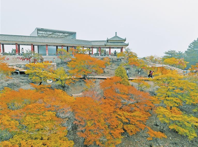 贺兰山国家森林公园层林尽染