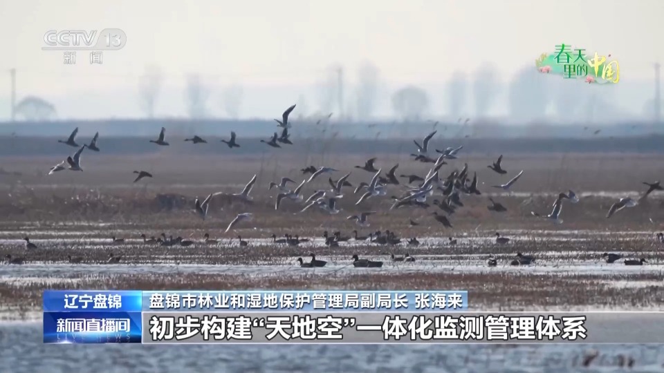 当现代农机遇上传统农业 “土豆”秒变“金豆”