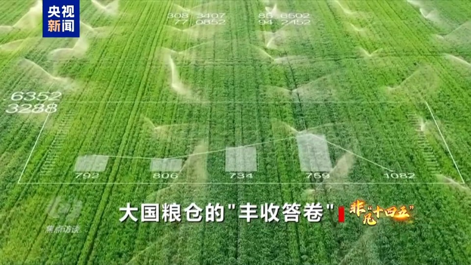焦点访谈丨筑牢大国粮仓 中国人的饭碗端得更牢更稳