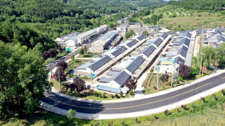 沃野绽新颜 乡村谱华章——天水市清水县2025年上半年农业农村工作综述_fororder_1753434177754020998