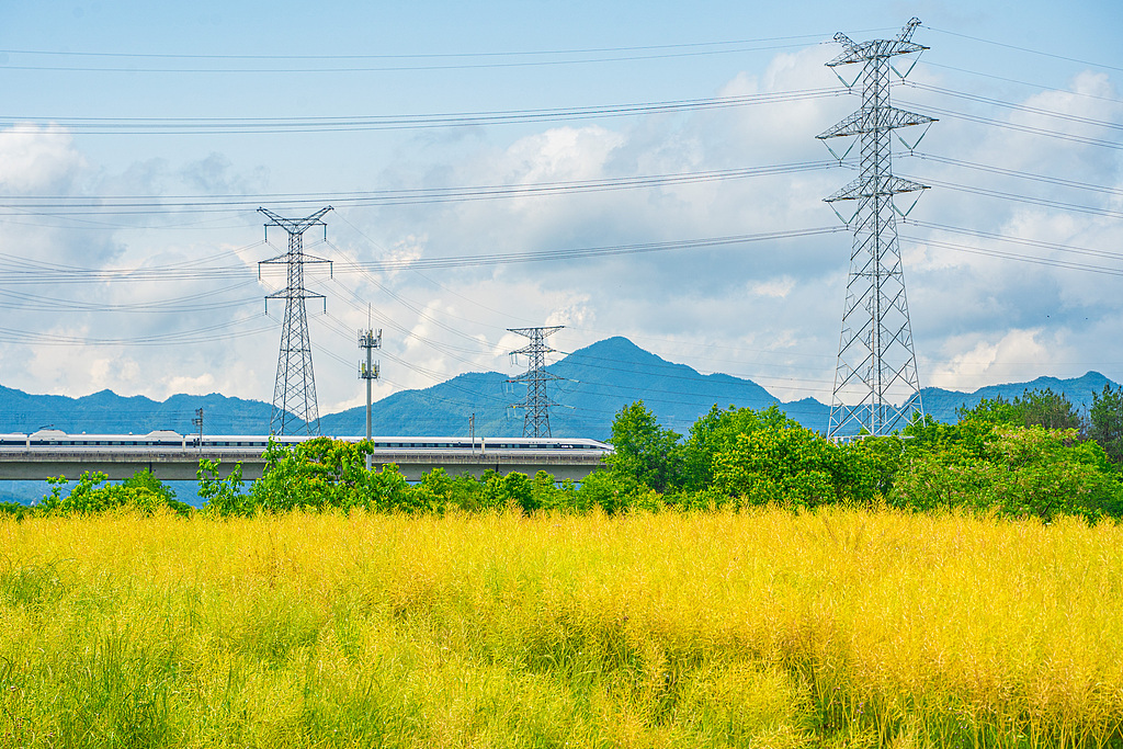 全球媒体聚焦 | 知名行业媒体：中国正在成为全球铁路旅游领军者