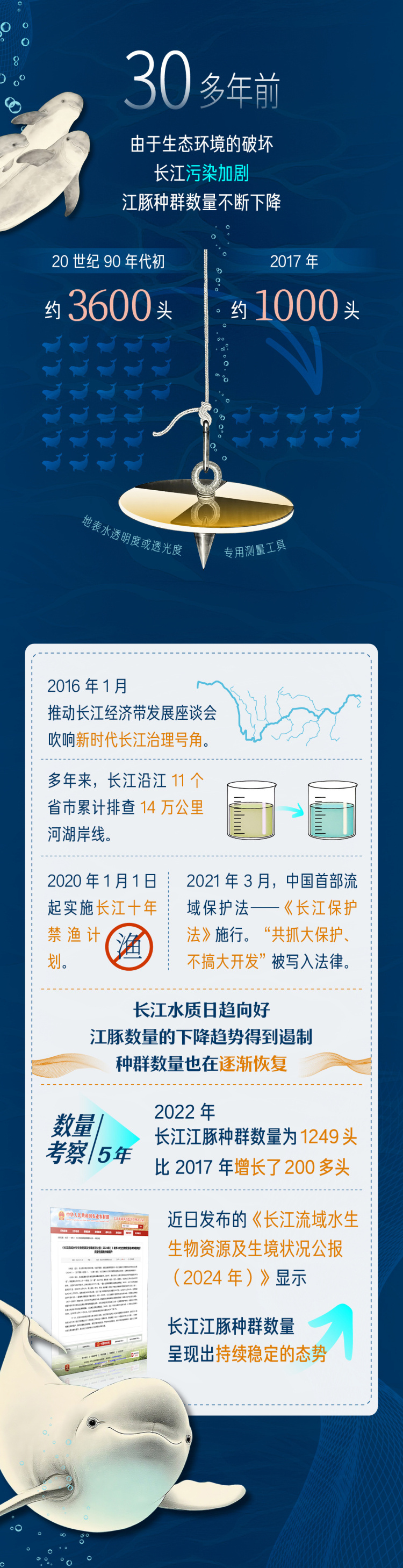 青春华章丨邂逅游弋的“长江的微笑”