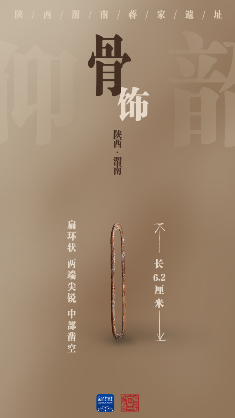 国宝画重点｜陶器上新！陕西蒋家遗址展现史前文明景象_fororder_105012025101900013763