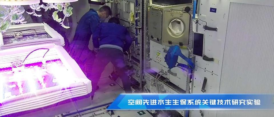 创意微视频|中国空间站:和神十八一起祝福中国