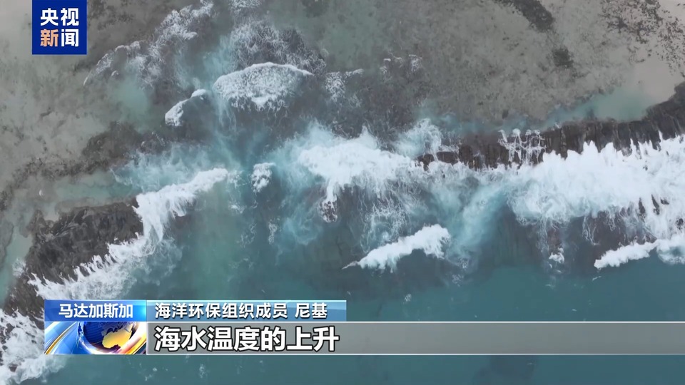 马达加斯加圣玛丽岛鲸群上演“海上大迁徙”