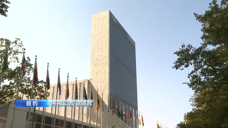 央视记者观察丨联合国呼吁各方加大努力 结束俄乌冲突