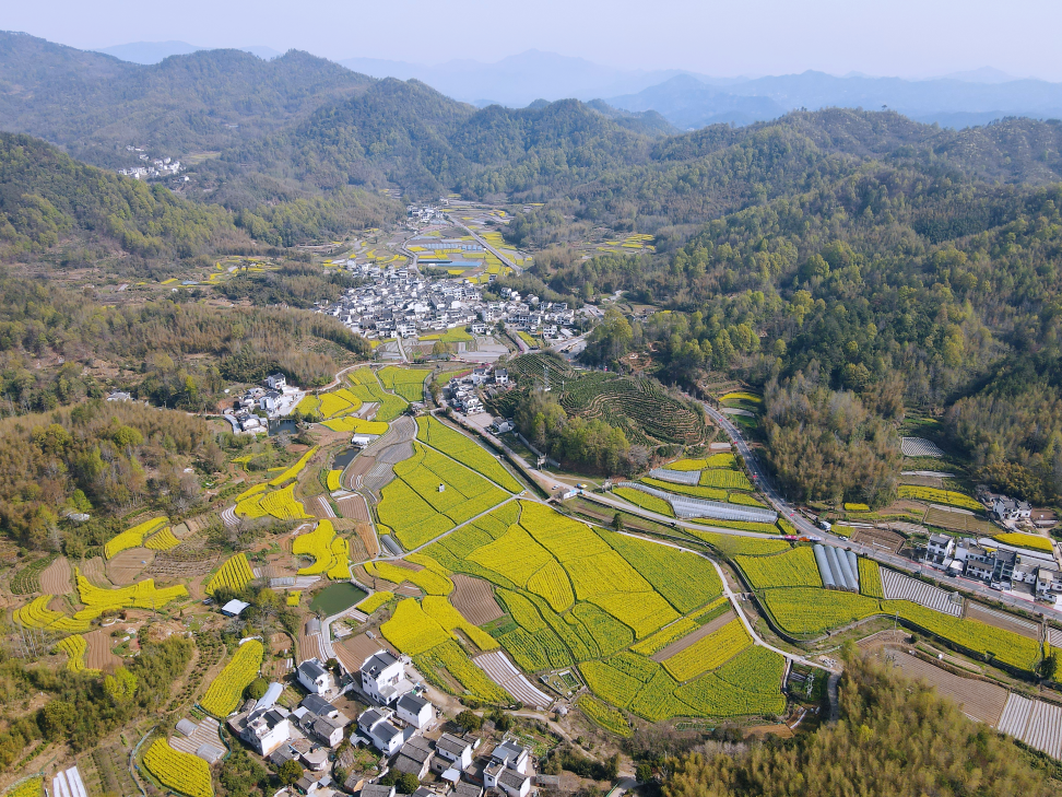 徽州区打造徽风皖韵宜居宜业和美乡村新样板_fororder_1
