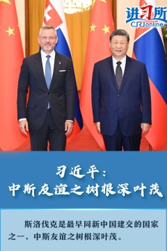 【讲习所·中国与世界】习近平：中斯友谊之树根深叶茂_fororder_44