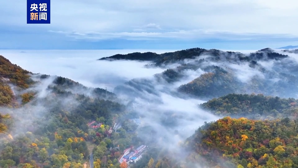 雨后桐柏山有多美？云海配彩林仿佛风景油画