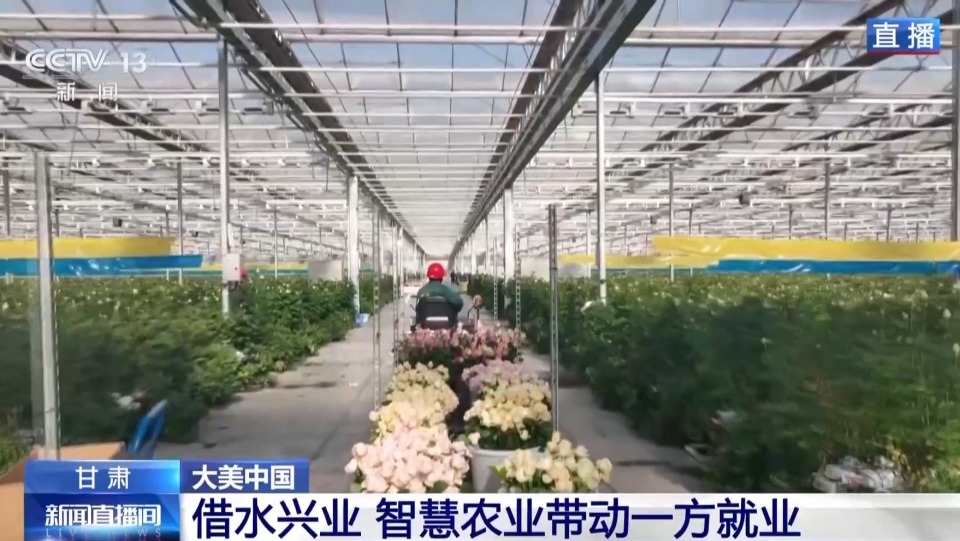 “荒芜之地”→“生态乐园” 这是兰州新城的蜕变密码