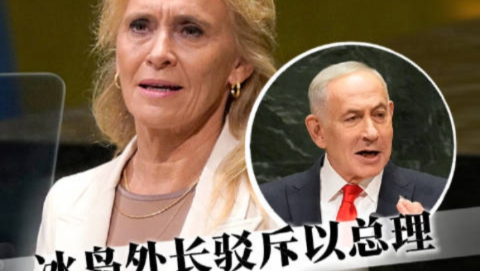 视频丨冰岛外长驳斥以总理“道德懦夫”言论_fororder_20260927143923646
