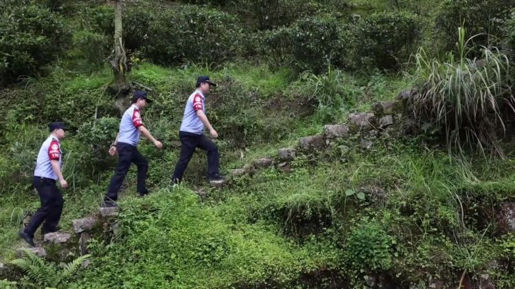 新华视点丨共护武夷山水 书写生态答卷